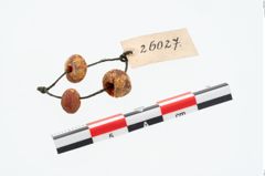 Foto von Bernsteinperle (NHMW-PRAE-026027)